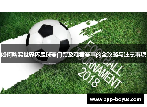 如何购买世界杯足球赛门票及观看赛事的全攻略与注意事项