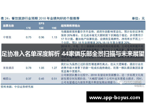 足协准入名单深度解析 44家俱乐部全景扫描与未来展望