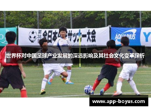 世界杯对中国足球产业发展的深远影响及其社会文化变革探析