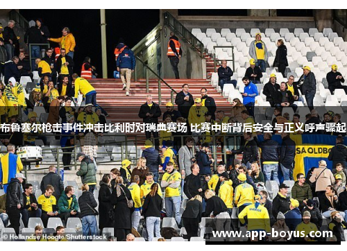 布鲁塞尔枪击事件冲击比利时对瑞典赛场 比赛中断背后安全与正义呼声骤起