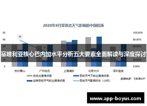 塞维利亚核心巴内加水平分析五大要素全面解读与深度探讨