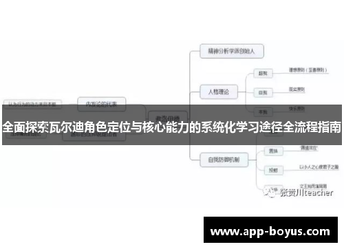 全面探索瓦尔迪角色定位与核心能力的系统化学习途径全流程指南